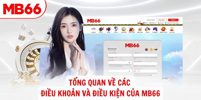 Điều khoản và điều kiện là các quy tắc đã được quy định