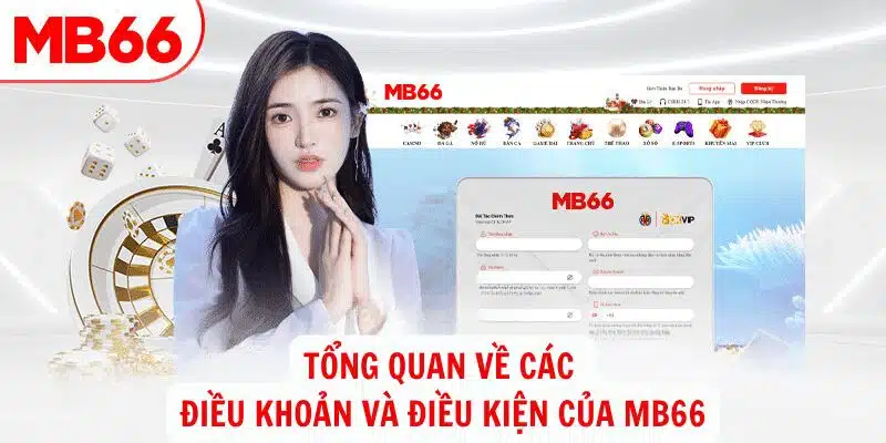 Điều khoản và điều kiện là các quy tắc đã được quy định