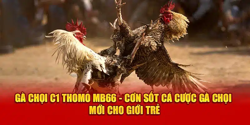 Ga choi C1 Thomo