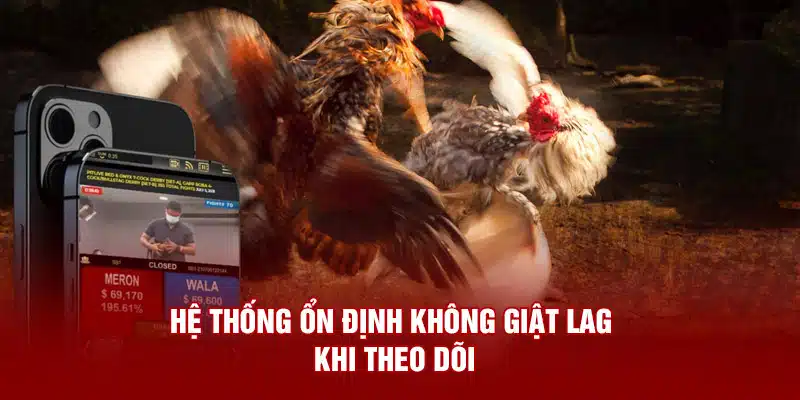 Hệ thống ổn định không giật lag khi theo dõi