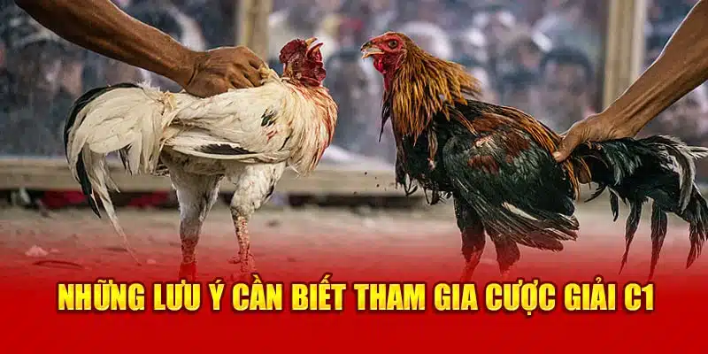 Những lưu ý cần biết tham gia cược giải C1