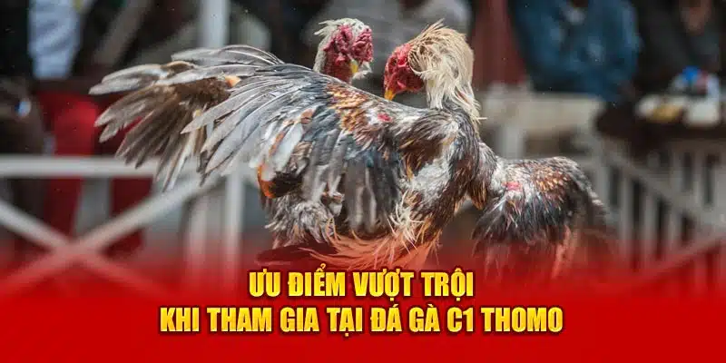 Ưu điểm vượt trội khi tham gia tại đá gà C1 Thomo